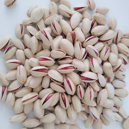 خرید عمده پسته احمدآقایی